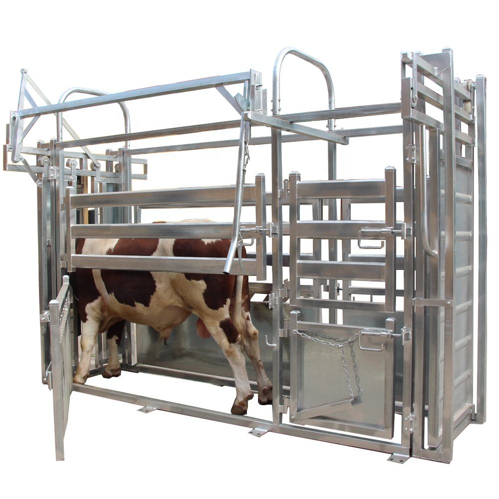 Cattle Crush - Image 4