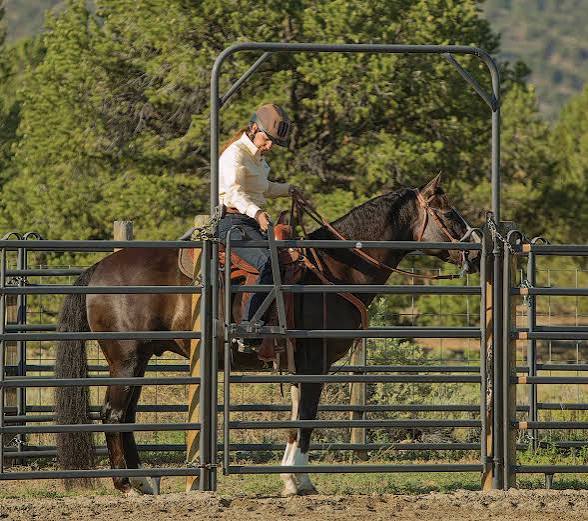 Horse Gate - Image 2