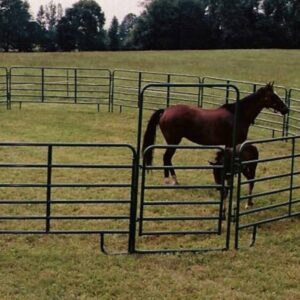Horse Fence Panel