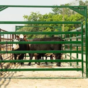 Cattle Gate
